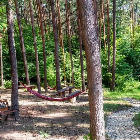 Gyoengye-az Erdo Szallodaja 3*