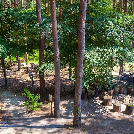 Hotel Gyoengye-az Erdo Szallodaja 3*