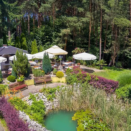 Gyoengye-az Erdo Szallodaja