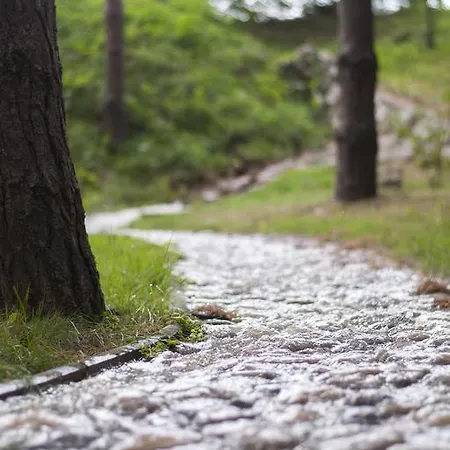 Hotel Gyoengye-az Erdo Szallodaja